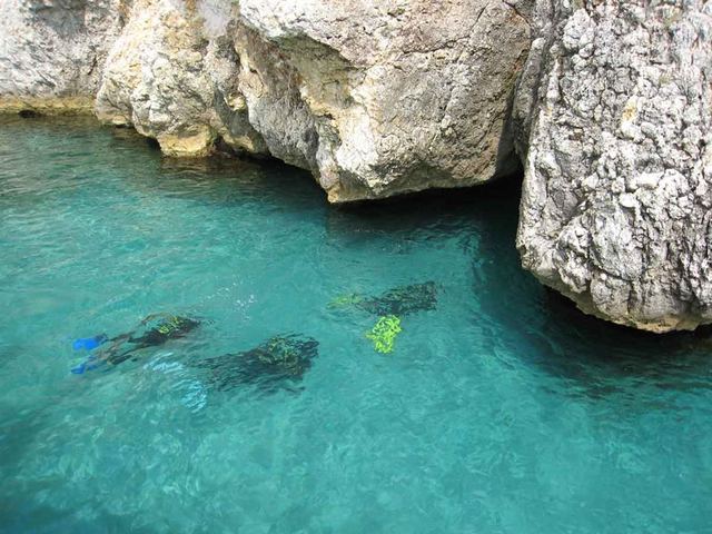 Dalış