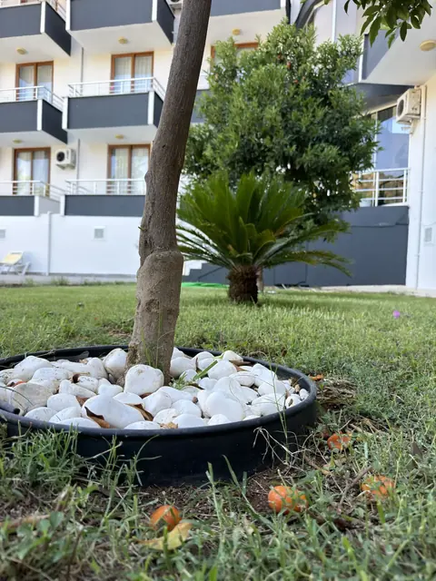 Adrasan Yazıcı Otel, otelden bir kare 6
