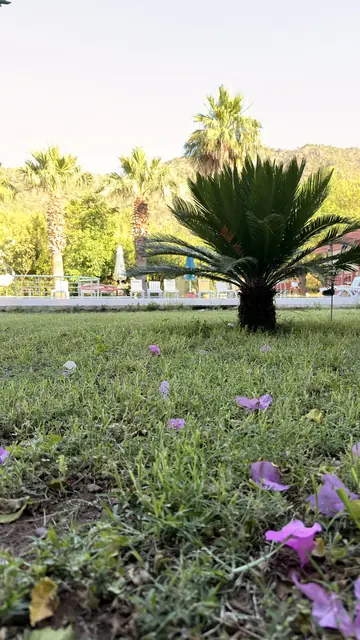 Adrasan Yazıcı Otel, otelden bir kare 7