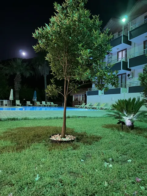 Adrasan Yazıcı Otel, otelden bir kare 10