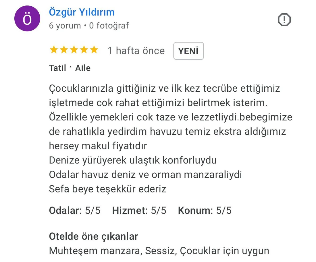 Google misafir yorumu ekran görüntüsü 2