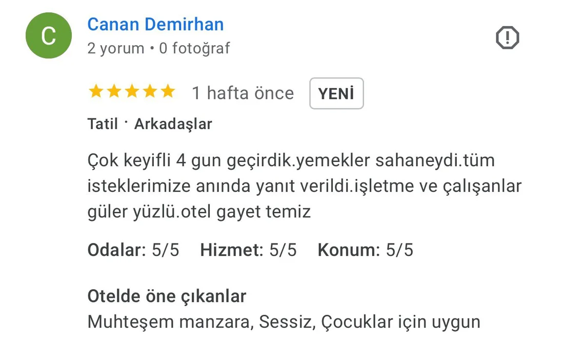Google misafir yorumu ekran görüntüsü 3