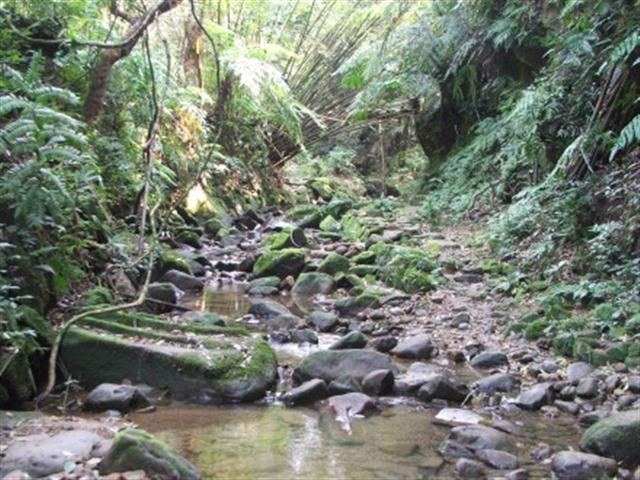 Likya Yolu yürüyüşü 24